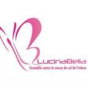 Articles de association-lucinabella